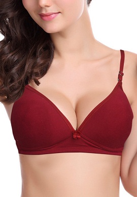 Hushh Smooth Padded Underwire Bra