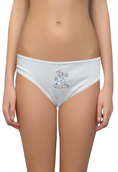 Disney Daily Wear Set Of Two Cotton Panties