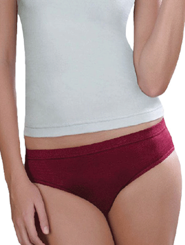 Everyday Wear Regular Fit Set Of Two Plus Size Panties + 1 Free Bra