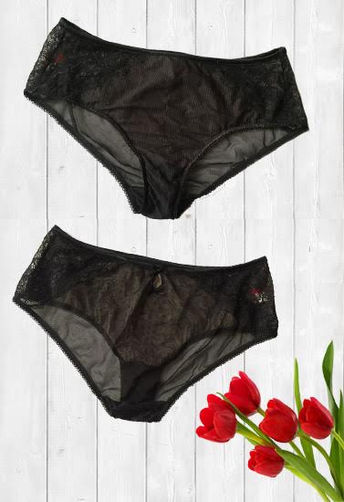 Triumph See Through Mesh Hi-Cut Panty + 1 Free Bra