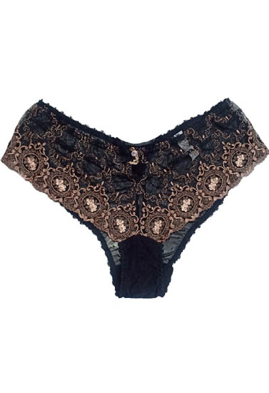 Vassarette Black transparent Lace Hipster Panty