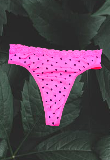 Gilligan&Omalley New Wave Pink Lace Thong(Sold Out)