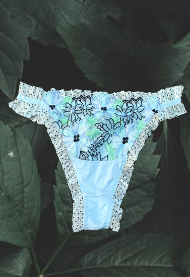 Himico Choose Me Naughty Netted Bikini Style Panty