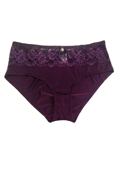 ♥Gerard Pasquier Purple Lace High Leg Knickers